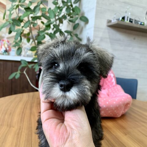 みなと・２ちゃん