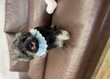 ★BABY★　　byスタッフサムネイル