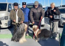 イタリアからステラちゃんがやってきたサムネイル