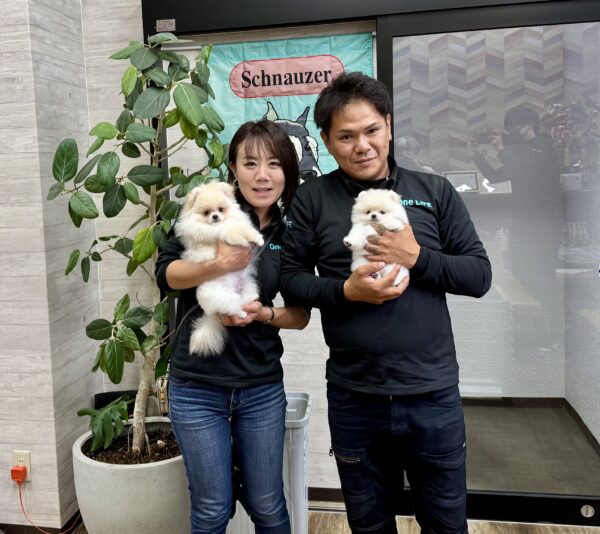 巣立って行ったステラっ子サムネイル
