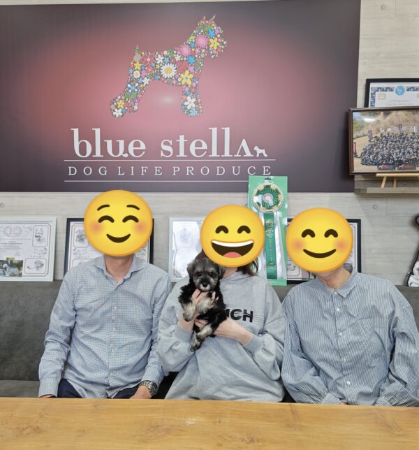 巣立って行ったステラっ子サムネイル