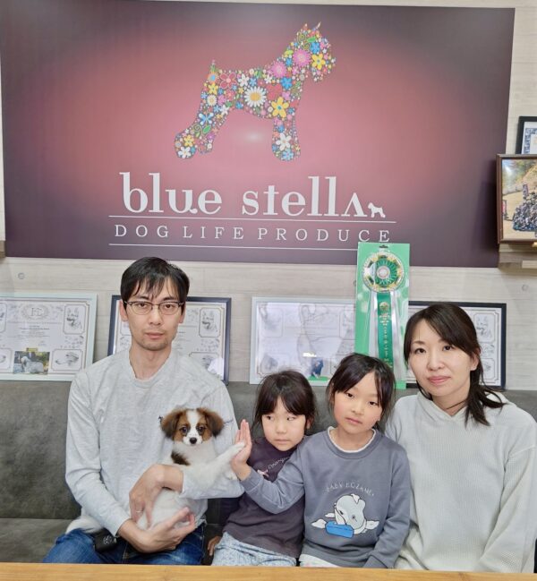 巣立って行ったステラっ子サムネイル