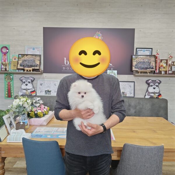 巣立って行ったステラっ子サムネイル