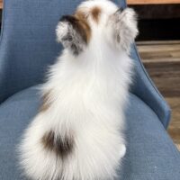 IMG_0831