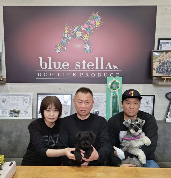 巣立って行ったステラっ子サムネイル