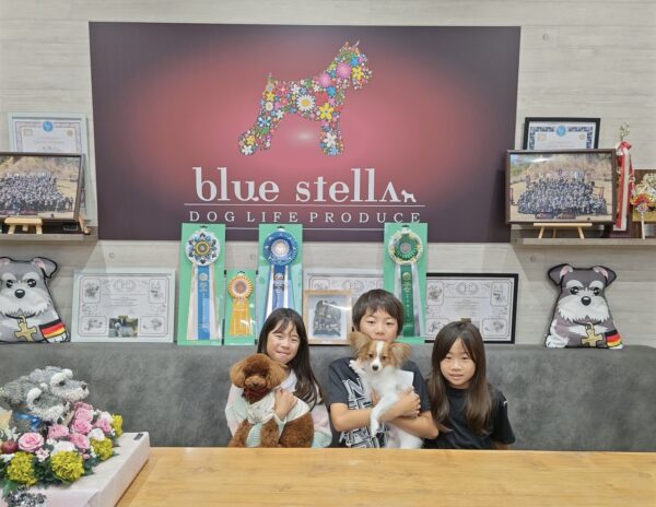 巣立って行ったステラっ子サムネイル