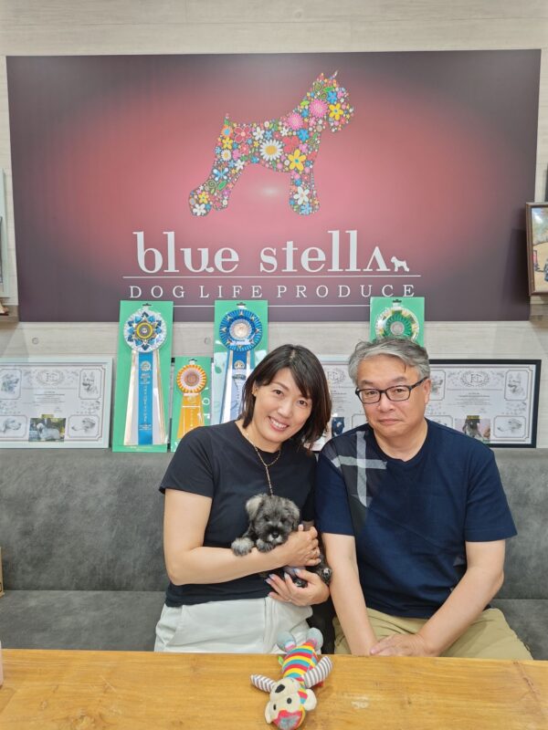 巣立って行ったステラっ子サムネイル