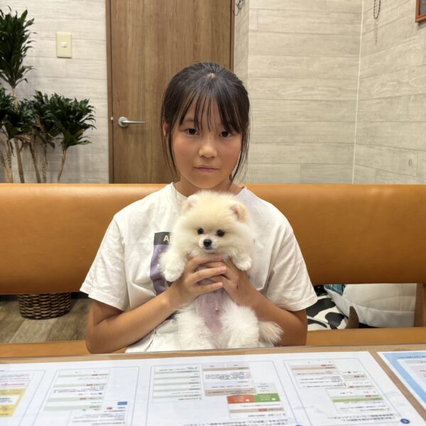 巣立って行ったステラっ子サムネイル