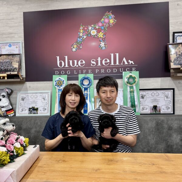 巣立って行ったステラっ子サムネイル