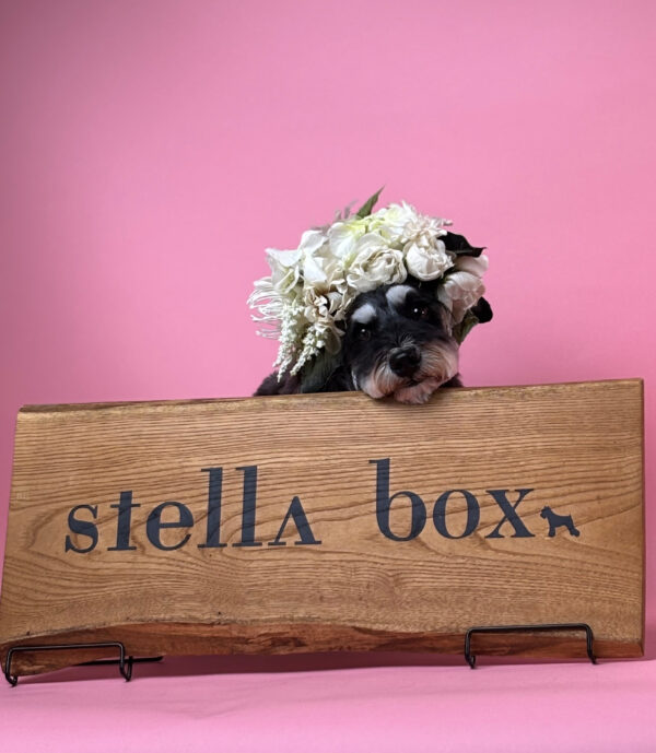 stellaboxサムネイル