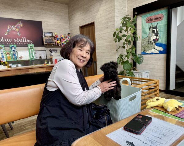 巣立って行ったステラっ子サムネイル