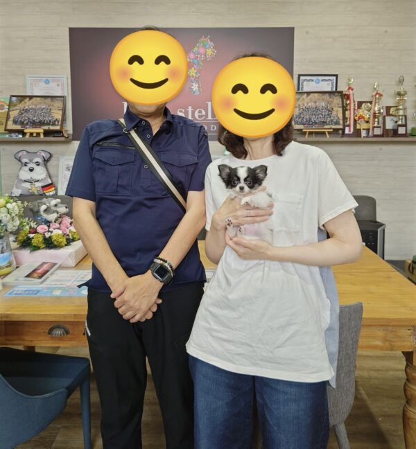 巣立って行ったステラっ子サムネイル