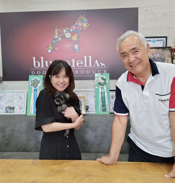 巣立って行ったステラっ子サムネイル