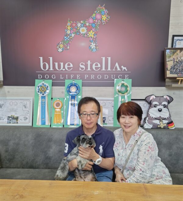 巣立って行ったステラっ子サムネイル