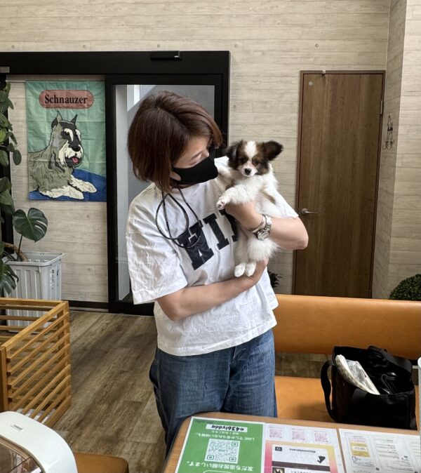 巣立って行ったステラっ子サムネイル