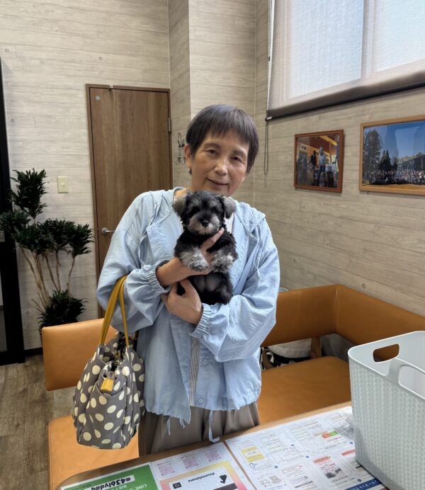 巣立って行ったステラっ子サムネイル