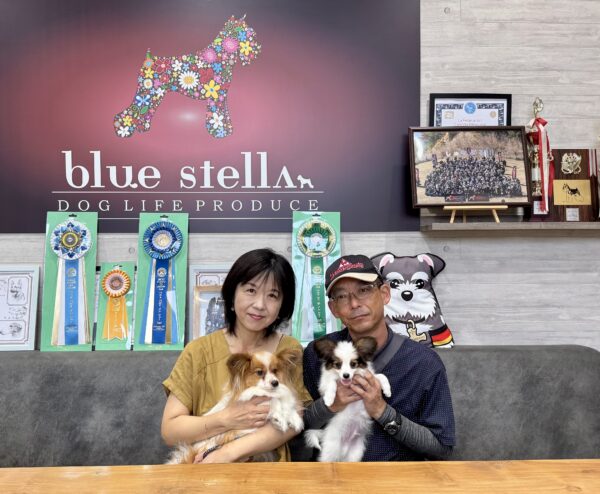 巣立って行ったステラっ子サムネイル