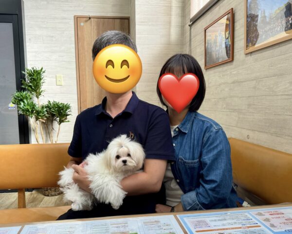 巣立って行ったステラっ子サムネイル