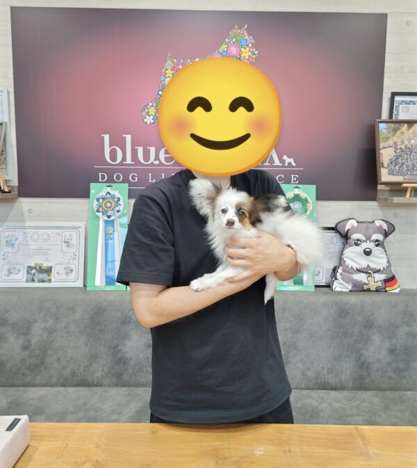 巣立って行ったステラっ子サムネイル