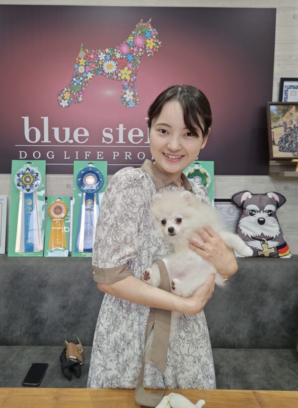 巣立って行ったステラっ子サムネイル
