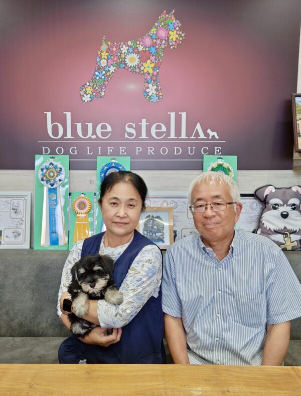 巣立って行ったステラっ子サムネイル