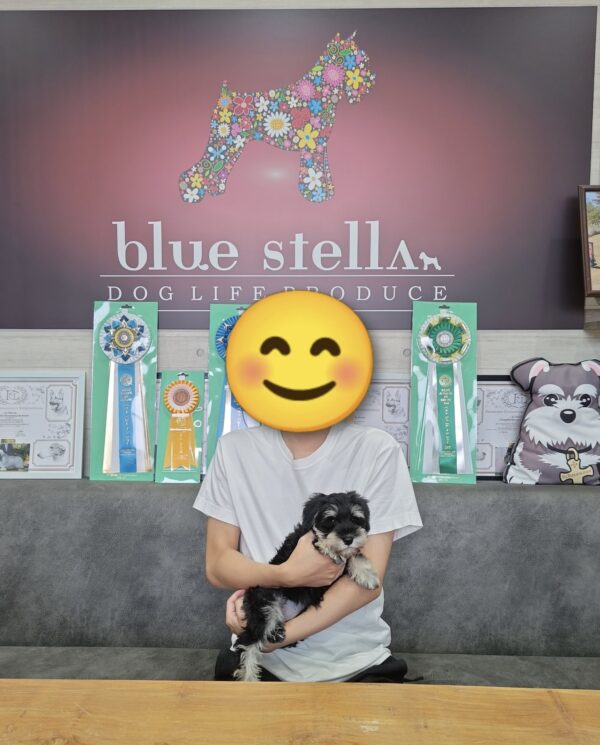 巣立って行ったステラっ子サムネイル