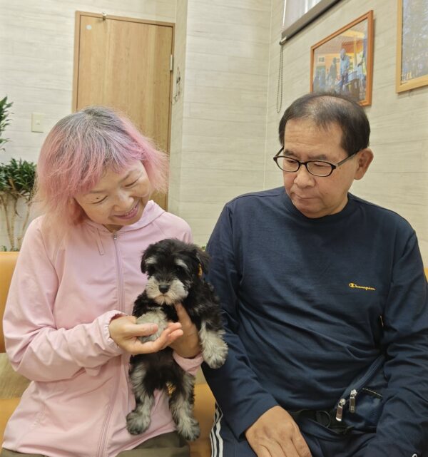 巣立って行ったステラっ子サムネイル