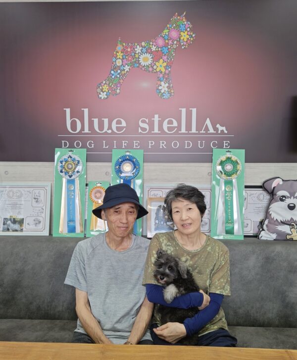 巣立って行ったステラっ子サムネイル