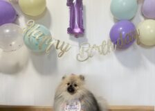お便りサムネイル