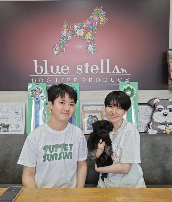 巣立って行ったステラっ子サムネイル