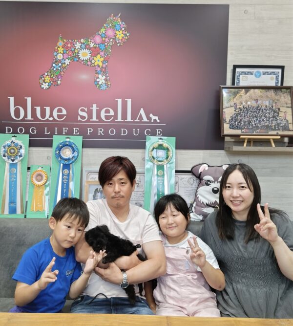 巣立って行ったステラっ子サムネイル