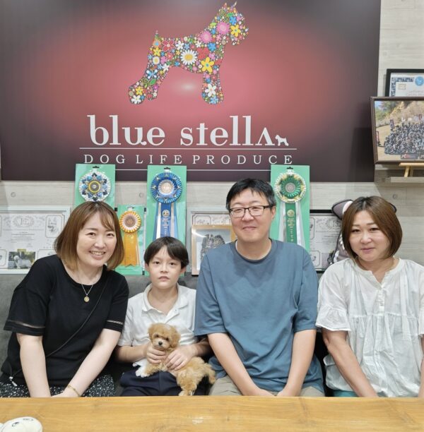 巣立って行ったステラっ子サムネイル