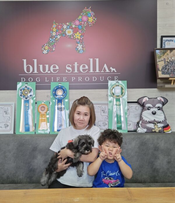 巣立って行ったステラっ子サムネイル