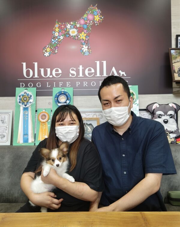 巣立って行ったステラっ子サムネイル
