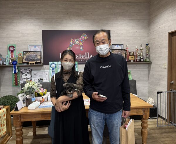 巣立って行ったステラっ子サムネイル