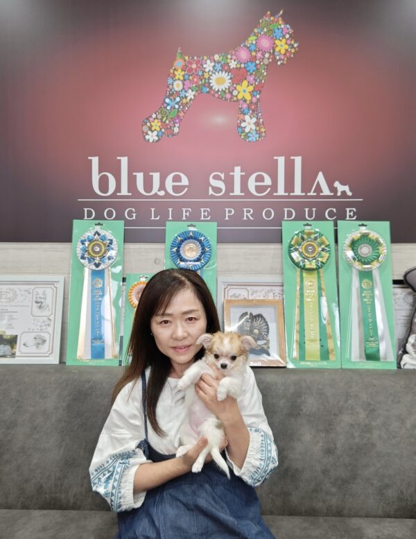 巣立って行ったステラっ子サムネイル