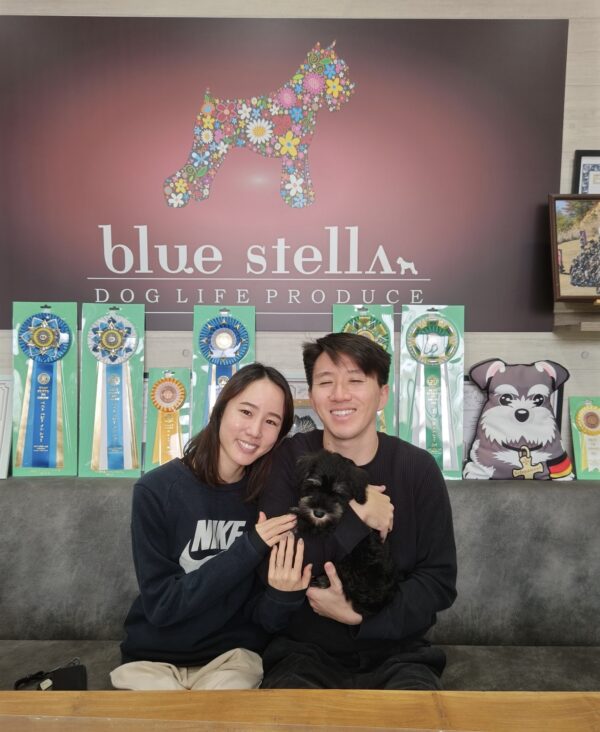 巣立って行ったステラっ子サムネイル