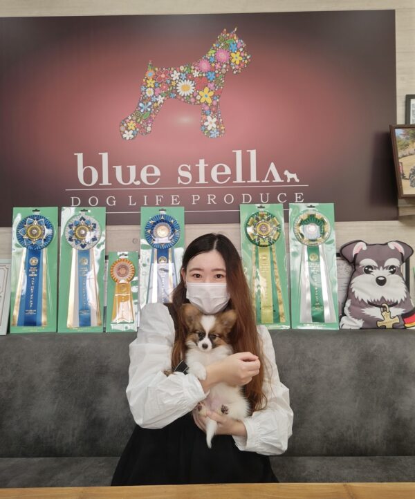 巣立って行ったステラっ子サムネイル