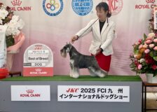 風雅がサムネイル