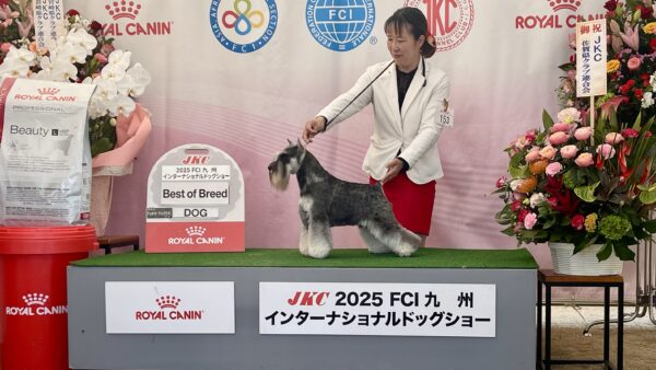 風雅がサムネイル