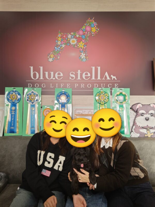 巣立っていったステラっ子サムネイル