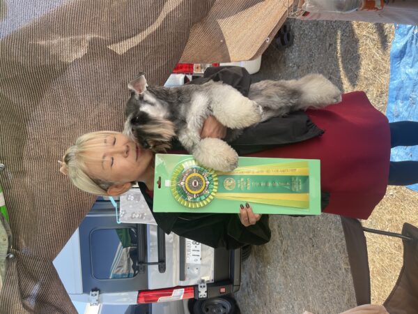 DOGショーで頑張りました！サムネイル