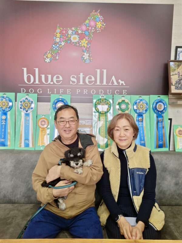 巣立って行ったステラっ子サムネイル