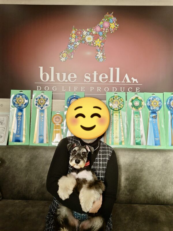 巣立って行ったステラっ子サムネイル