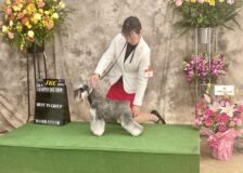 風雅最高！サムネイル