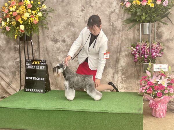 風雅最高！サムネイル