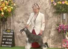 Jr.チャンピオン完成！サムネイル