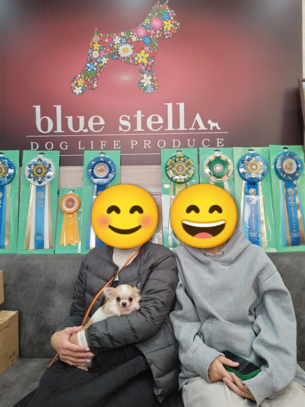 巣立って行ったステラっ子サムネイル