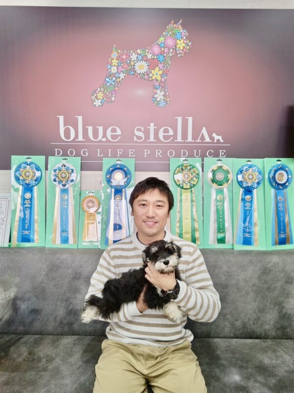 \巣立って行ったステラっ子サムネイル