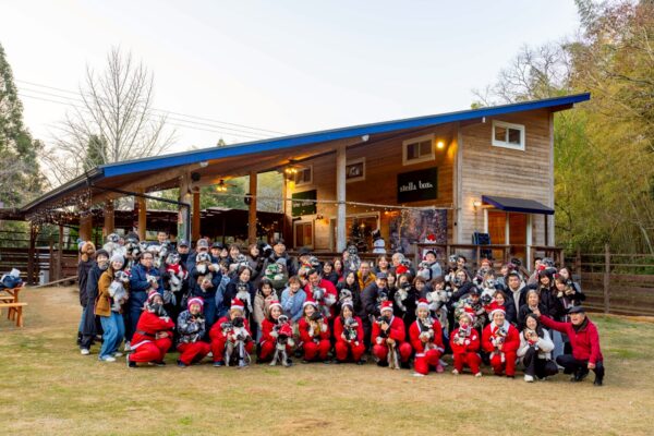 Xmas会大盛況！サムネイル